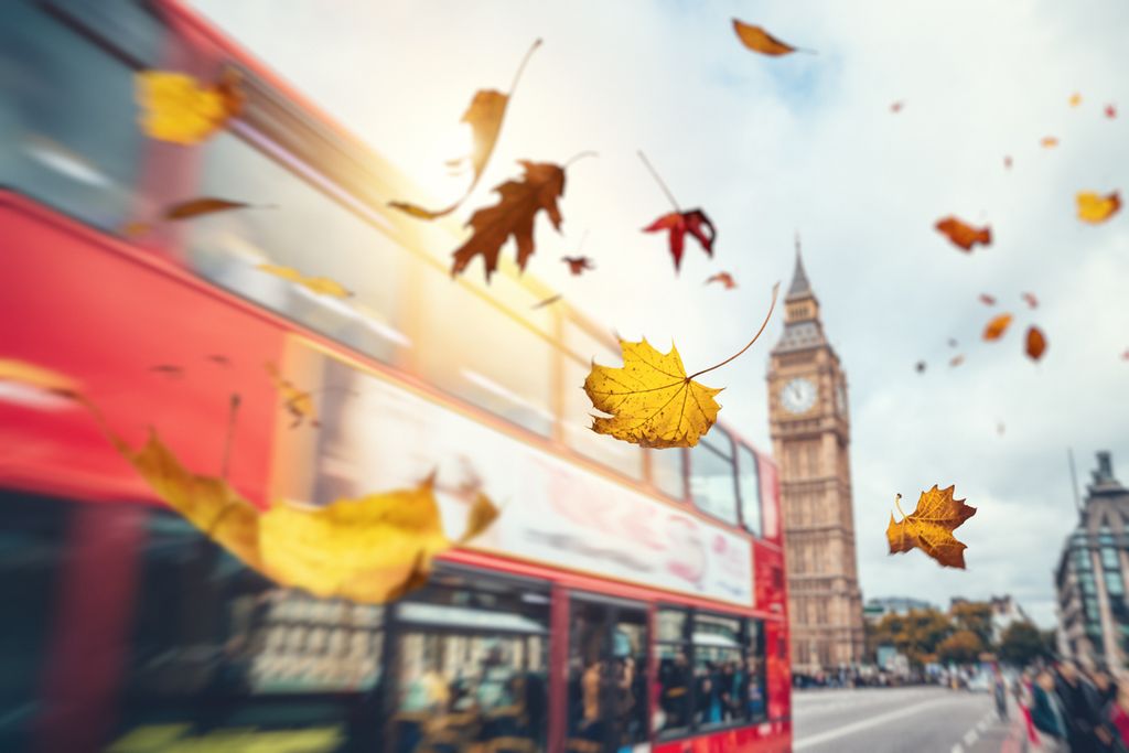 iStock-Londonas_2.jpg