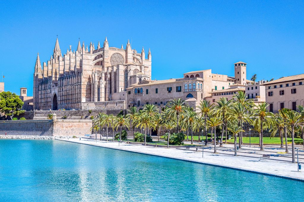 Palma_Unsplash.jpg